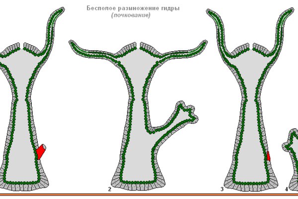 Сайт kraken в tor